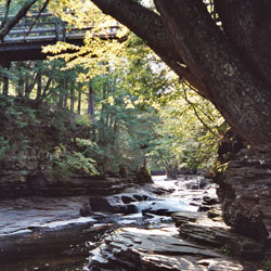 bridge